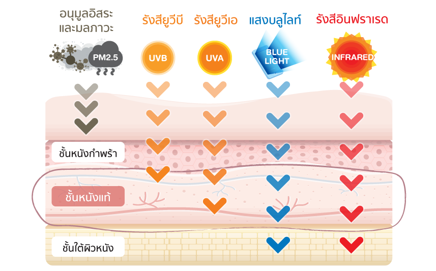 ปัจจัยภายนอกที่ทำร้ายผิว.png
