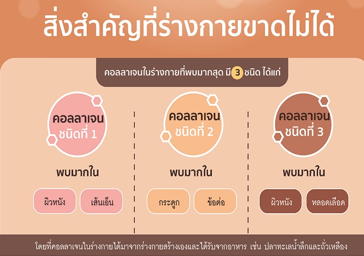 ประเภทคอลลาเจนในร่างกาย.jpg