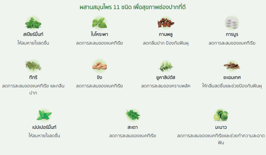 ส่วนผสมสมุนไพร 11 ชนิด.png
