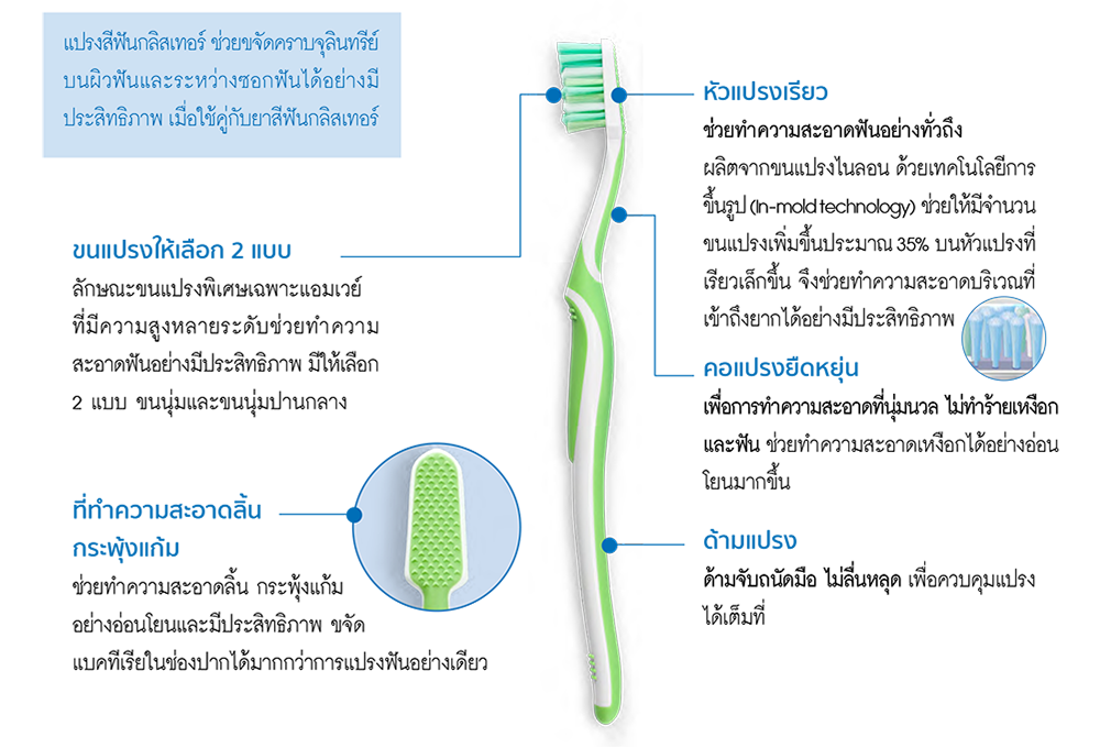 คุณสมบัติของแปรงสีฟันกลิสเทอร์ใหม่.png