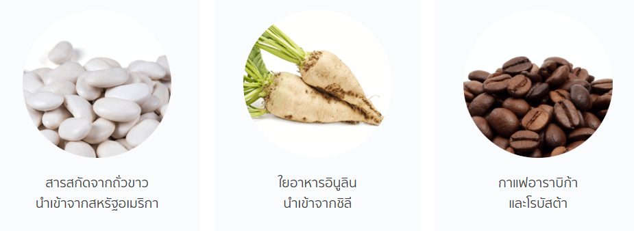 ส่วนประกอบเลสแคล ผสมถั่วขาว.png