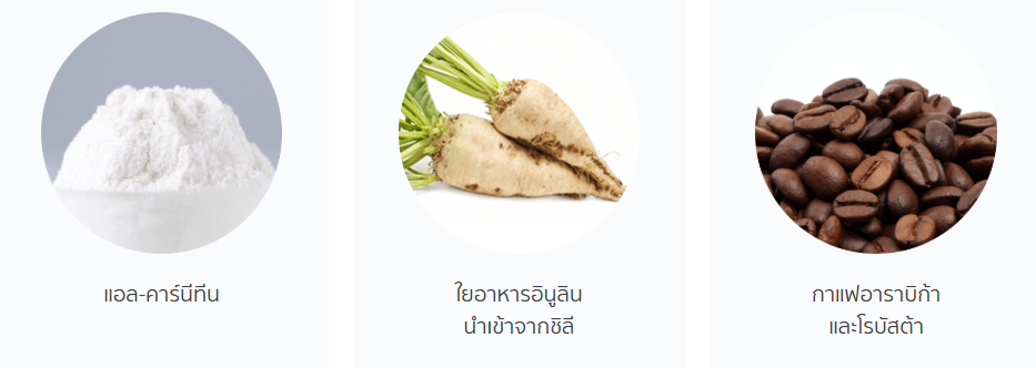 ส่วนประกอบเลสแคล แอล-คาร์นีทีน.png