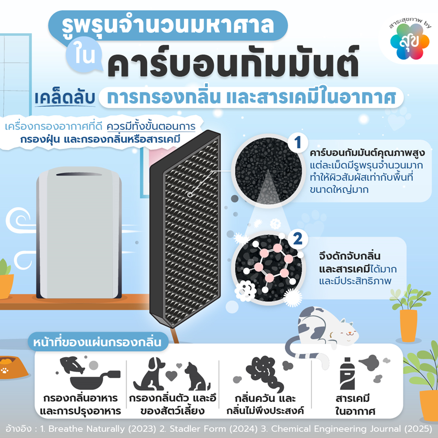 รูพรุนมหาศาลในคาร์บอนกัมมันต์.png