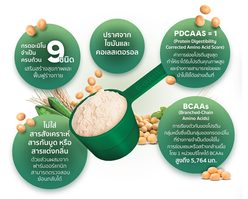 ปริมาณ BCAAs ในออล แพลนท์ โปรตีน.png
