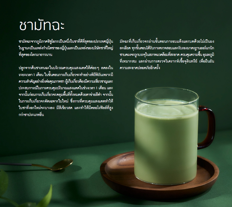 มาตรฐานเครื่องดื่มมัทฉะ.png